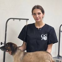 Строкова Дарья