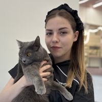 Полина