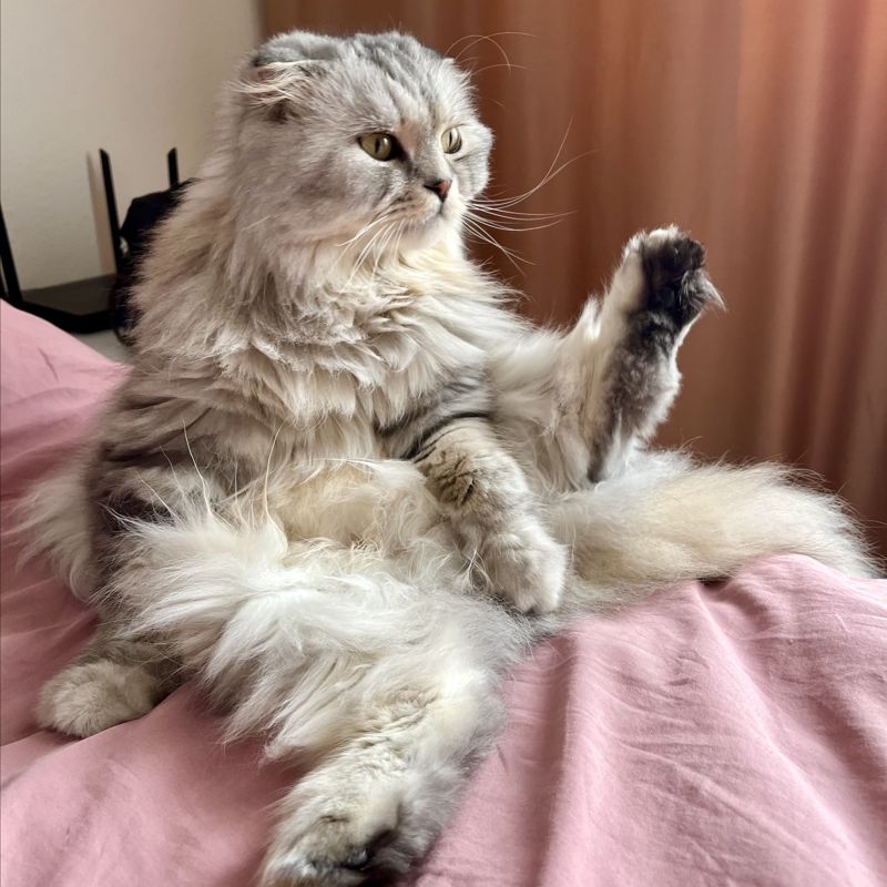Килька