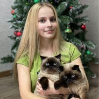 mur.pedikur