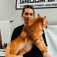 Некрасова Яна