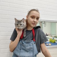 Ия