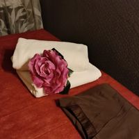 метро Парк культуры