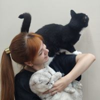 Алена старший мастер