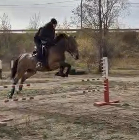 С1 Ангелина