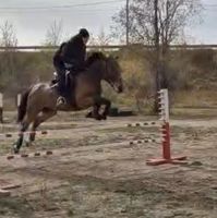 С1 Ангелина