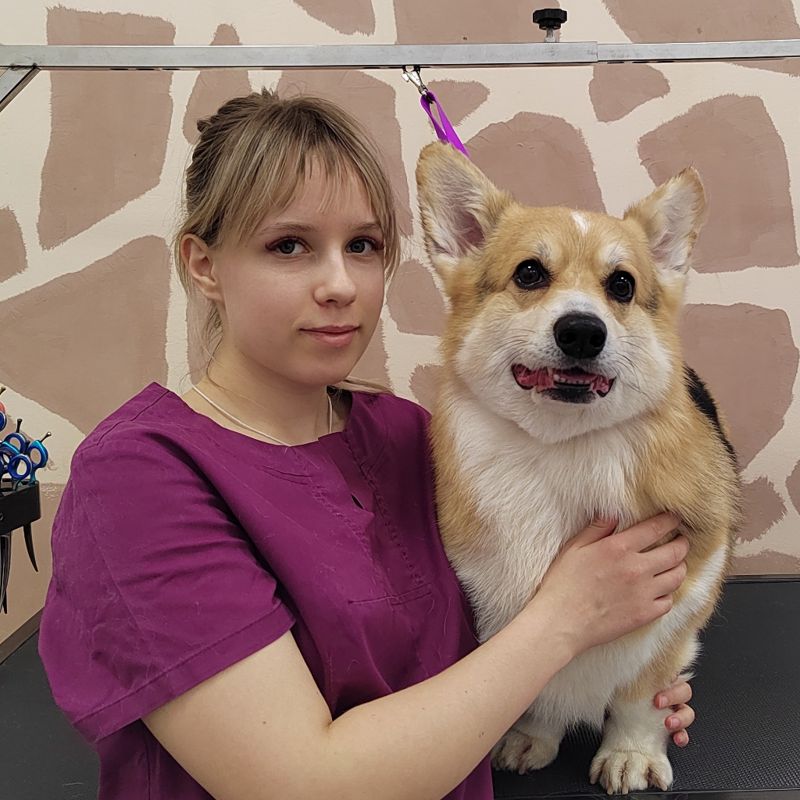 Волкова Анастасия