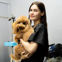 Анастасия мастер