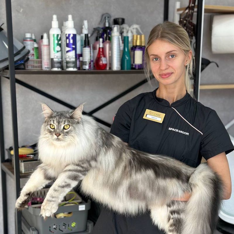Карина