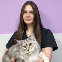 Действующий мастер Алина