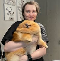 Ян