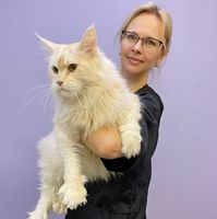 Марина