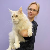 Марина