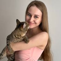 П. Полина