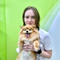 Ася