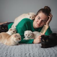 Настя КотоГрумер