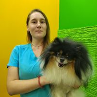Ромашкина Елизавета