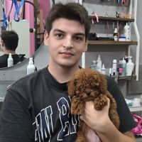 Владимир Меркулов