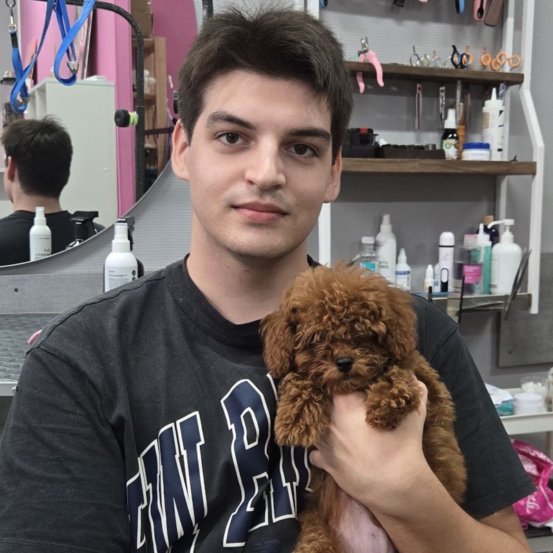 Владимир Меркулов