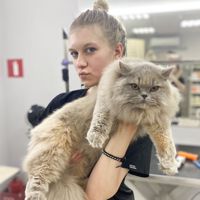 Василина