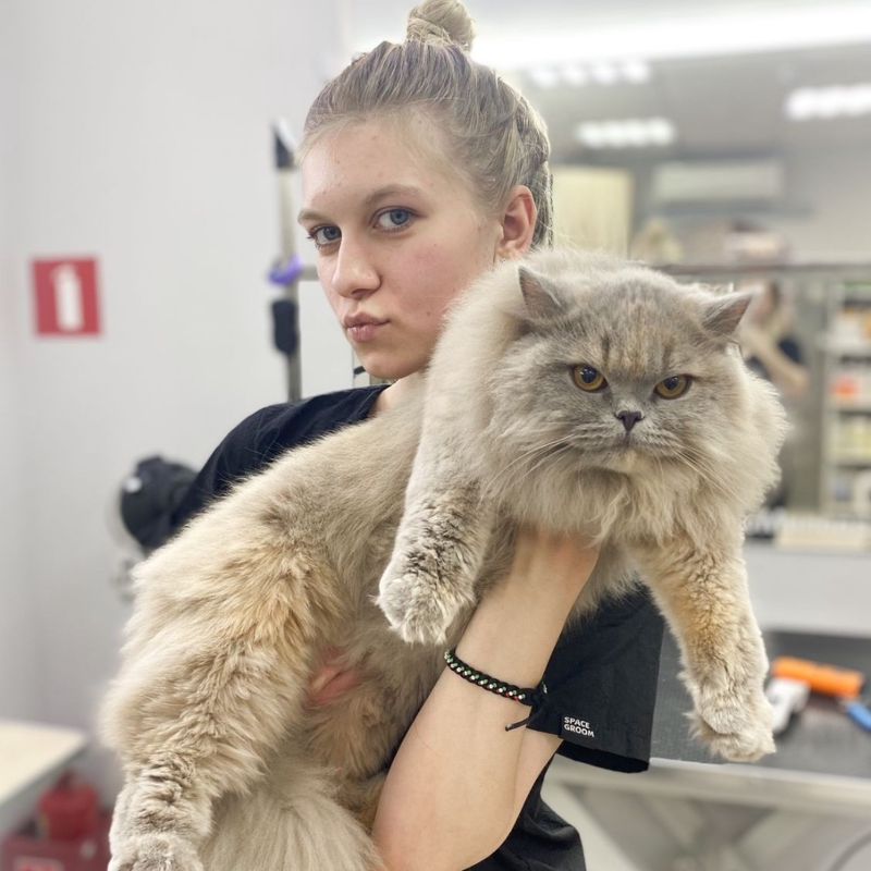Василина