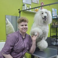 Агарёва Наталья