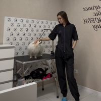 Котова Елена
