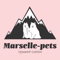 Груминг салон Marselle-Pets — груминг пуделя в Челябинске