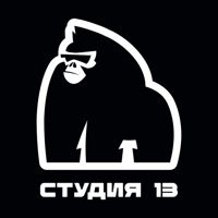 Студия 13 — тонирование бороды и усов в Кирове