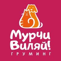 Груминг «Мурчи Виляй» — груминг пуделя в Кирове