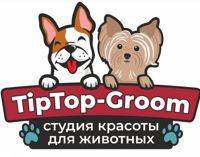 Tiptop-Groom — груминг мейн-куна в Екатеринбурге