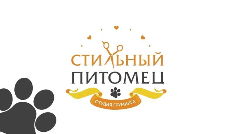 Стильный питомец