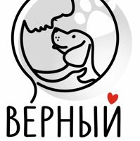 Верный — замена украшения пирсинга в Северодвинске