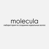 MOLECULA | Реконструкция волос — укладка вечерняя в Саранске