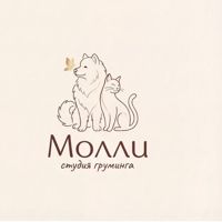 Студия груминга Молли — груминг пуделя в Ижевске