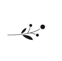Kiparis — френч в Оренбурге