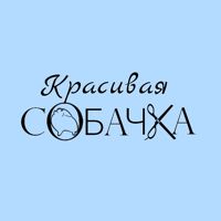 КРАСИВАЯ СОБАЧКА — груминг пуделя в Екатеринбурге