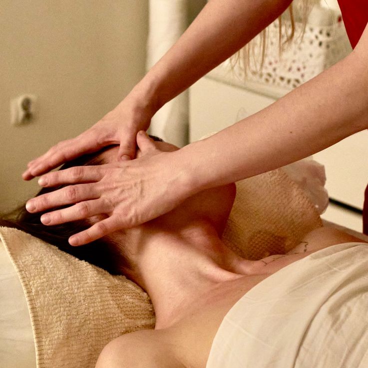 SPA «ЛЬВИЦА»