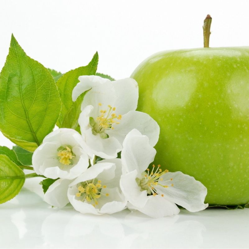 SPA салон красоты Bontabelle