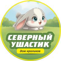 Тайм кафе с кроликами Северный Ушастик! — хамам в Мурманске