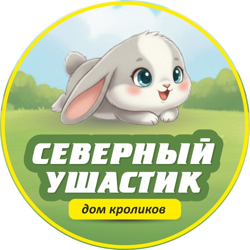 Тайм кафе с кроликами Северный Ушастик!