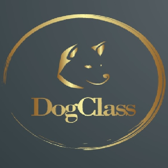 Зоосалон &amp;quot;DogClass&amp;quot;