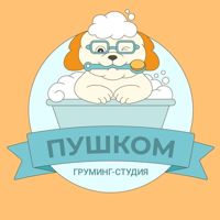 Груминг-студия ПушКом — груминг пуделя в Когалыме