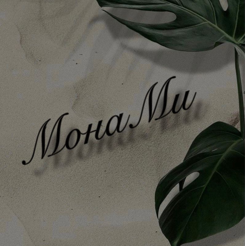МонаМи