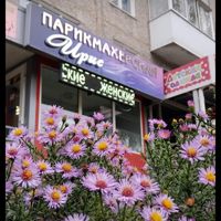 Ирис — укладка в Новокузнецке