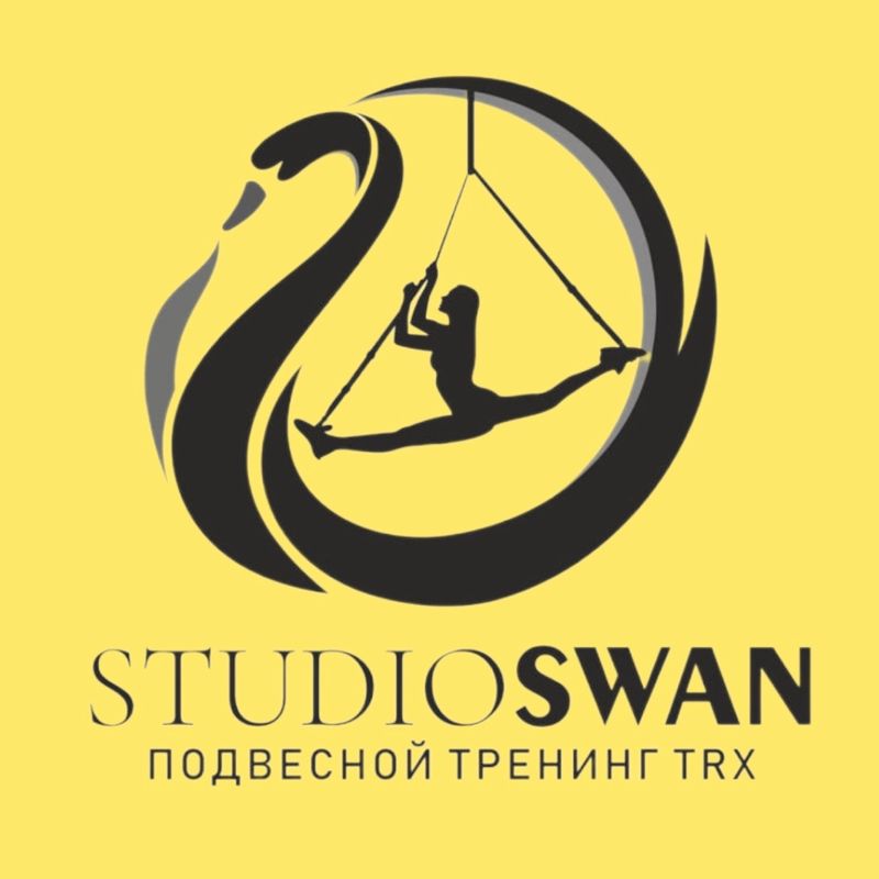 Студия подвесного тренинга SWAN