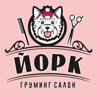 Груминг салон "ЙОРК" — груминг пуделя