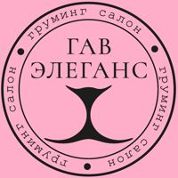 Зоосалон Гав Элеганс — груминг пуделя в Иркутске