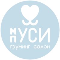 Груминг салон "Муси Пуси" на Джанбровского — груминг пуделя в Тюмени