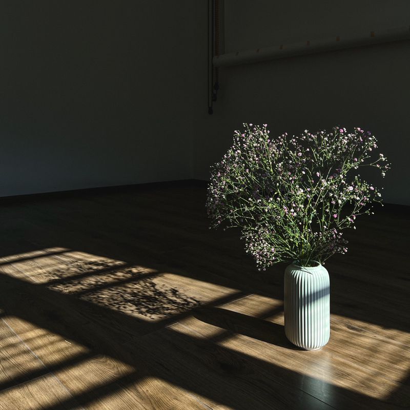 Studio Gobo
